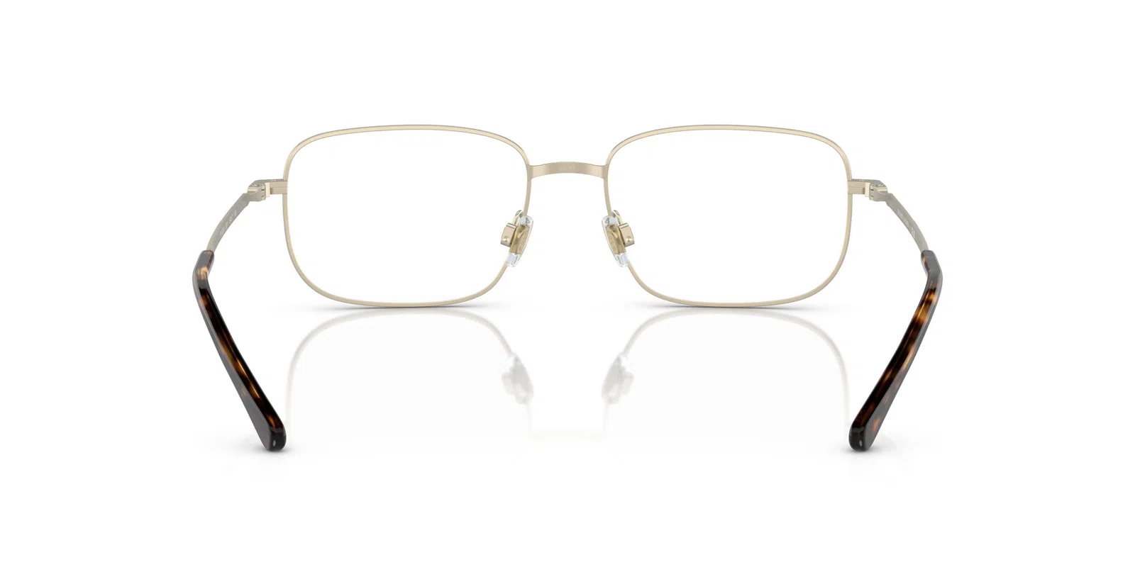 Polo 1218 Eyeglasses - view 12